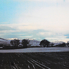 The Road Home III